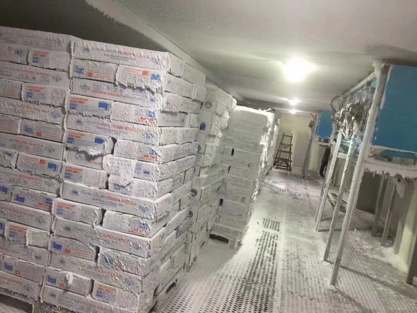 冷庫(kù)安裝工程